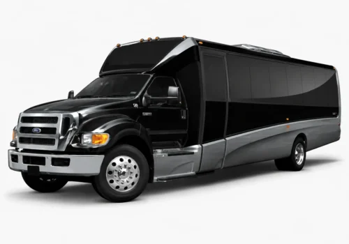 Affordable Party Bus Rental Chicago