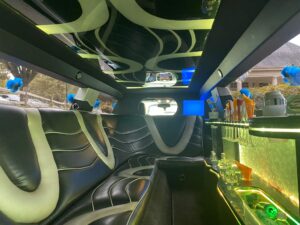 party bus rental chicago