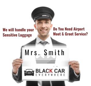 Airport Meet and Greet