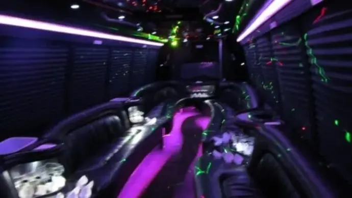 Limo Interior for Chicago Area Party Transportation