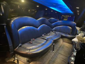 Chicago Area Party Transportation