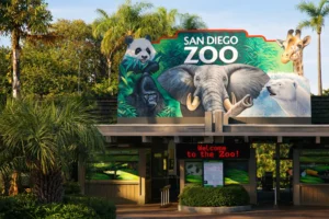 San Diego Zoo Animals