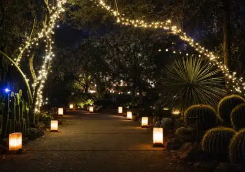 California Botanic Garden's Luminaria Nights