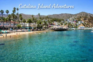 Catalina Island