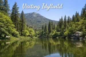 Idyllwild