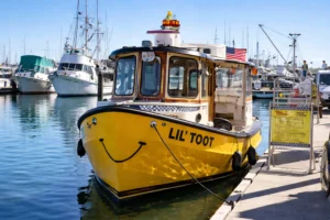Lil' Toot Water Taxi