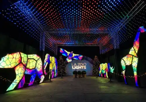 Los Angeles Zoo Lights