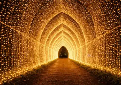 San Diego Botanic Garden's Light