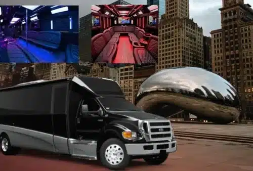 Choose the best option