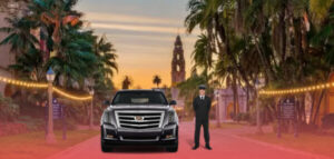 Professional Chauffeur Service