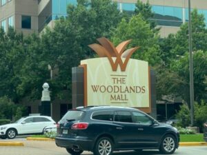 Car Service The Woodlands