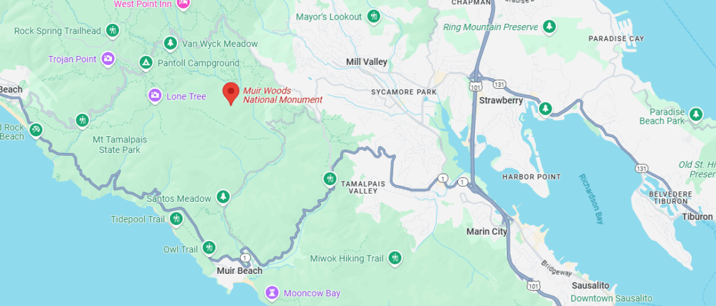 Muir Woods National Monument