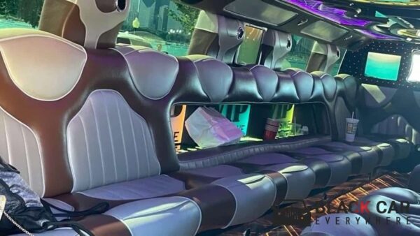 Party Bus Rental