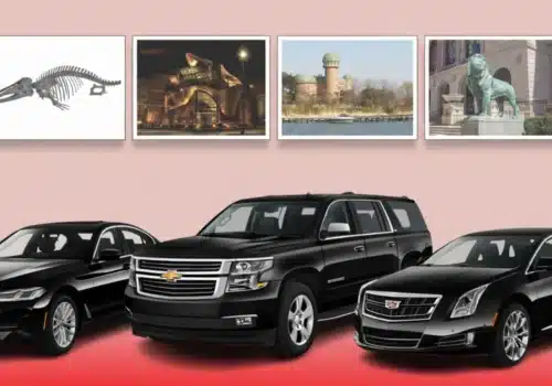 The Art Institute of Chicago