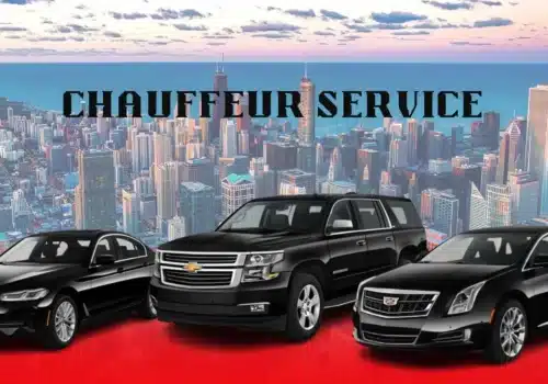 Chauffeur Service for Museum Tours