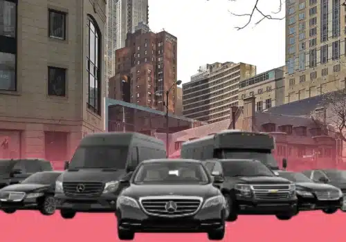 Unique Boutiques and Specialty Stores