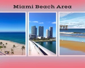 Miami Beach Area