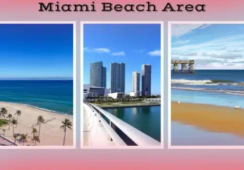 Miami Beach Area