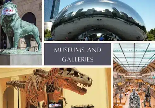 Museums in Chicago
