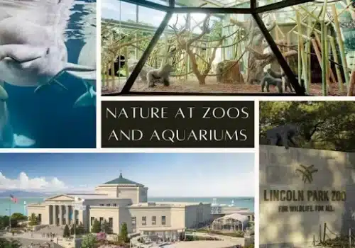 Wonders of Nature at Zoos and Aquariums
