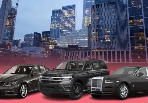 Tribeca - The Celebrity Favorite