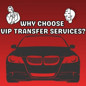 Why Do Business Travelers Choose VIP Services?