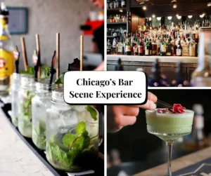Chicago Bar Scene Experience