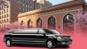 Chinese American Museum of Chicago