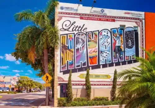 Little Havana Attraction