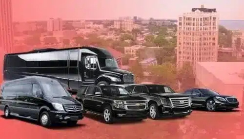 Luxurious Fleet