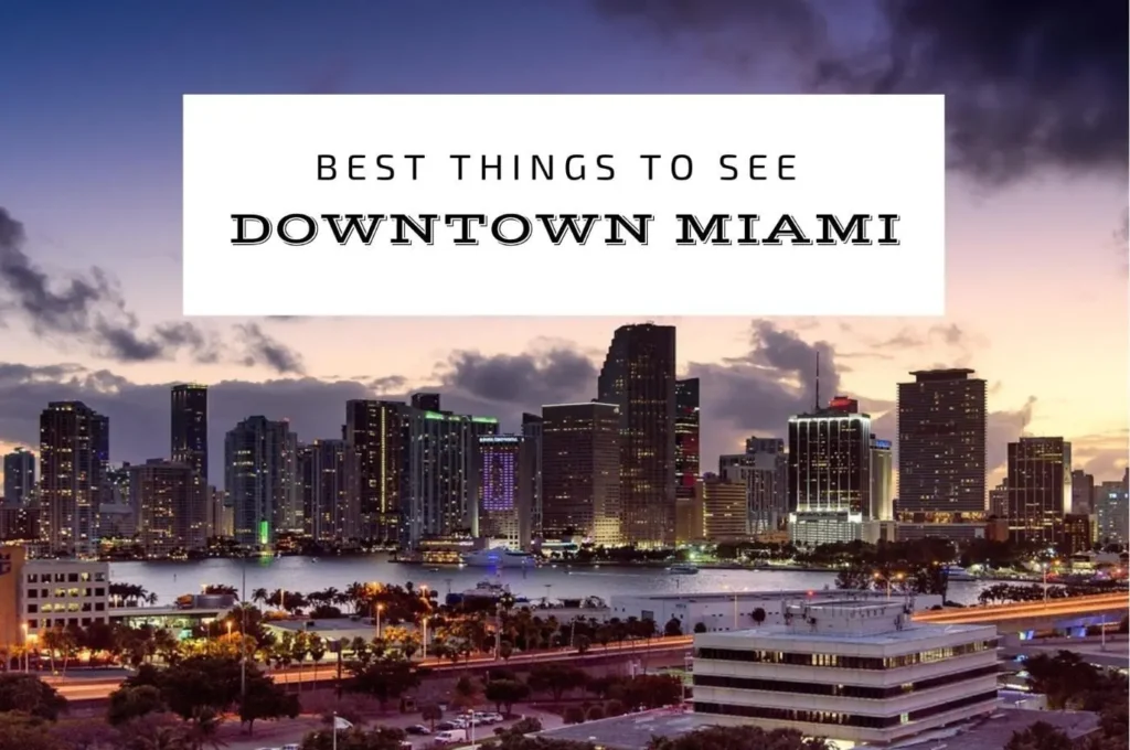 Things to See Downtown Miami