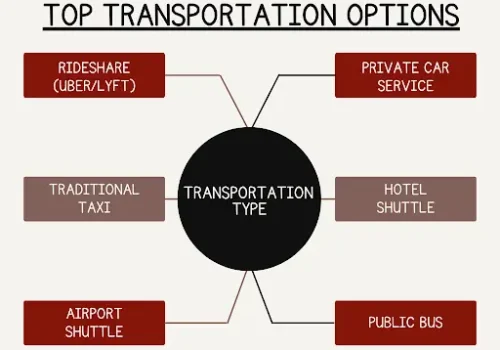 Top Transportation Options