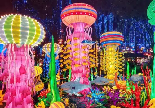 Year-Round Community Events in Miami